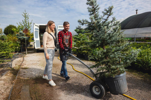 Reliable West Bay Shore, NY Tree Services Solutions